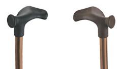 Walk-Stick-Anatomicle.jpg